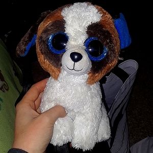 Beanie boo Duke the dog.